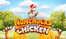 nunchuck chicken